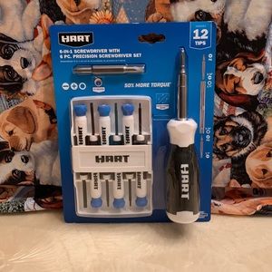 Six in one screwdriver with six piece precision screwdriver set